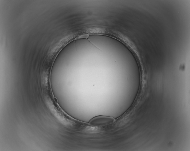 X0000115760057200911271126