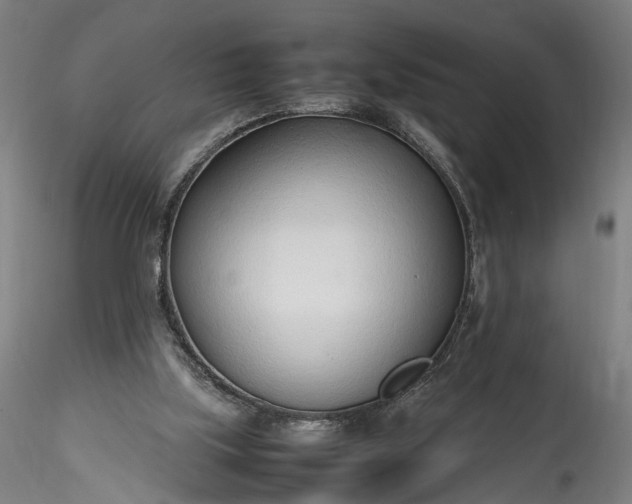 X0000115760059200911271126