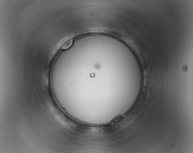 X0000115760060200911271126