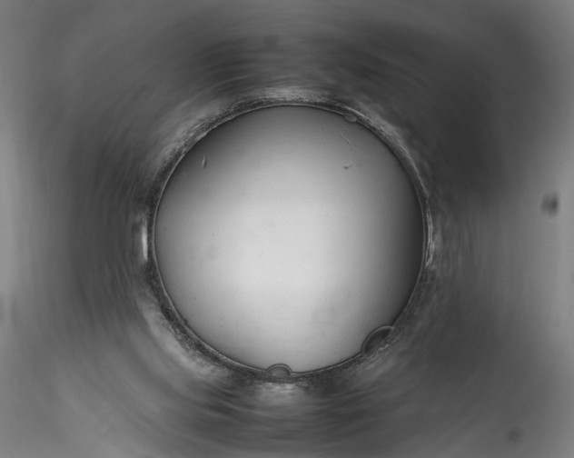 X0000115760061200911271126