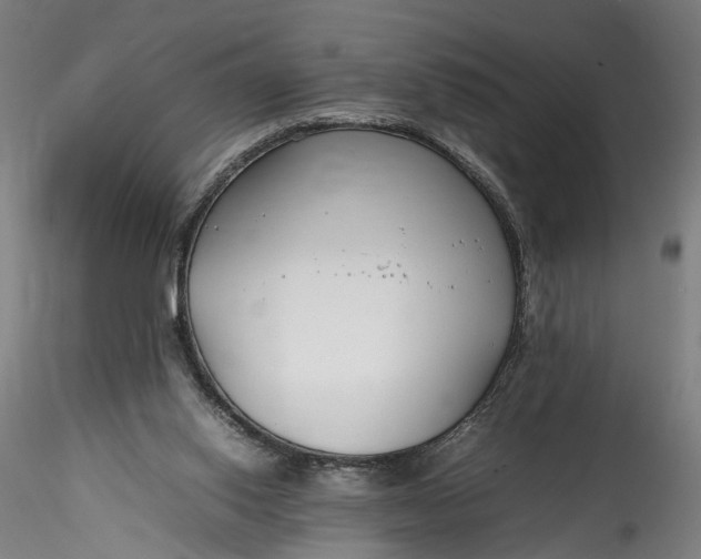 X0000115760062200911271126