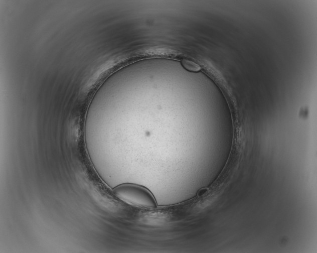 X0000115760063200911271126