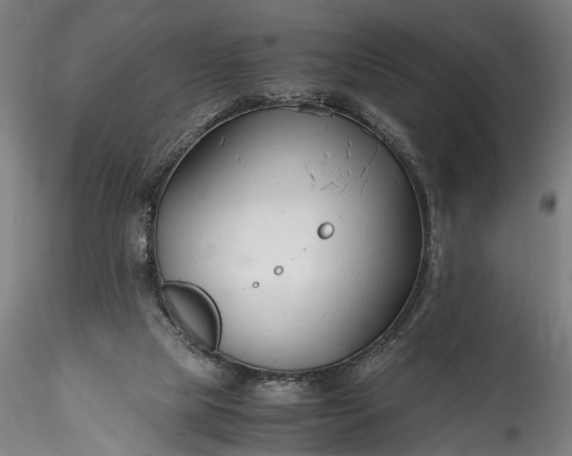 X0000115760065200911271126