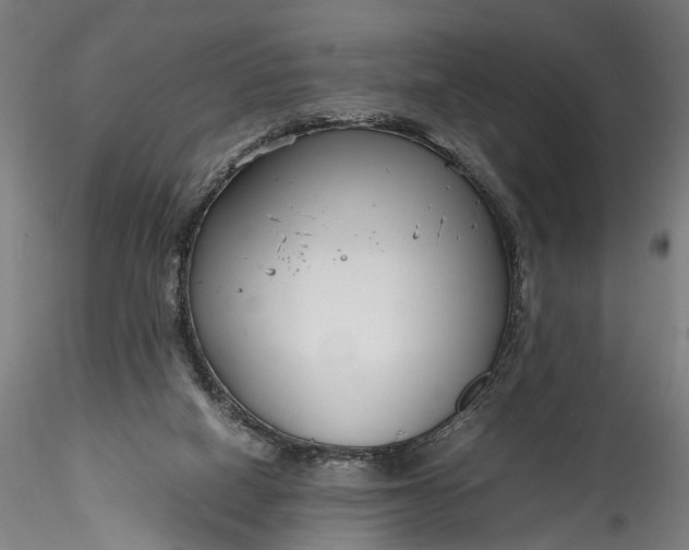 X0000115760066200911271126