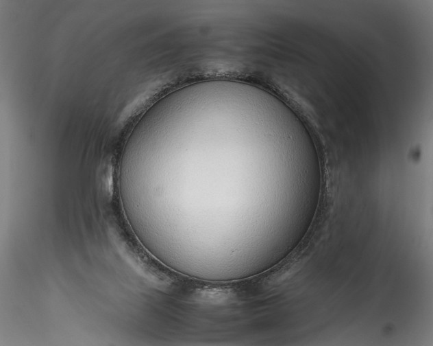 X0000115760067200911271126