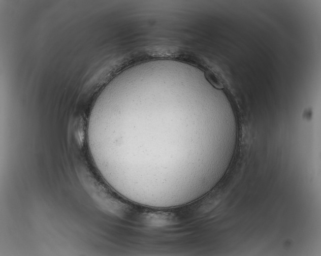 X0000115760069200911271126