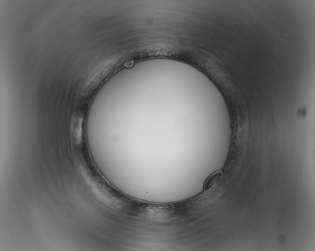 X0000115760070200911271126