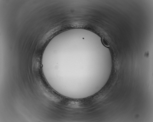 X0000115760071200911271126