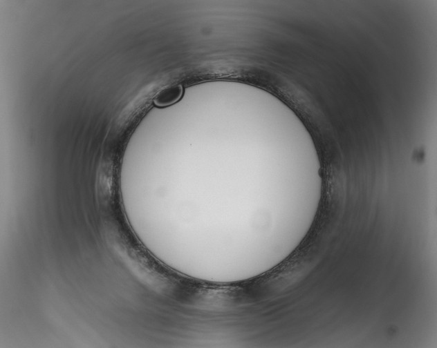 X0000115760072200911271126