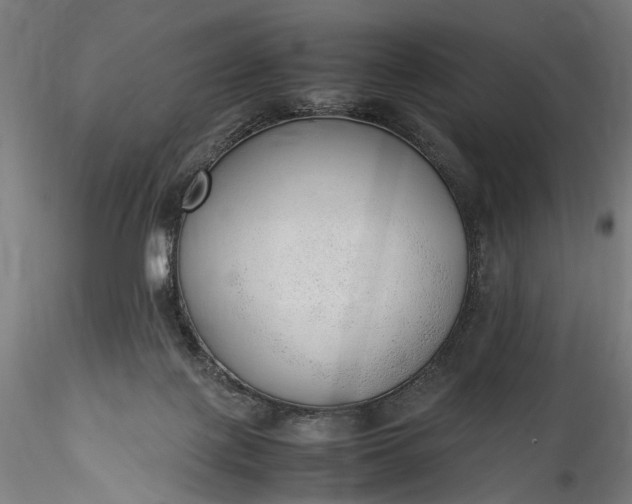 X0000115760075200911271126