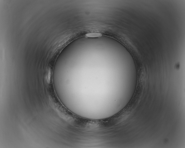 X0000115760076200911271126