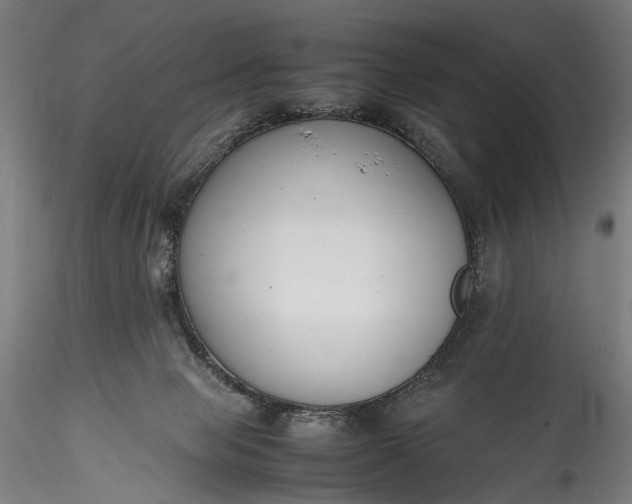 X0000115760077200911271126