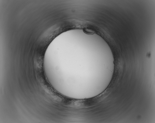 X0000115760078200911271126