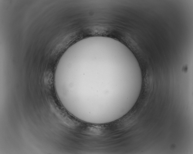 X0000115760079200911271126