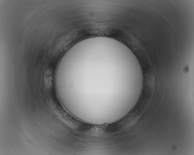 X0000115760080200911271126