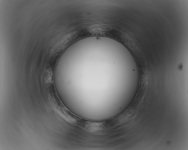 X0000115760081200911271126