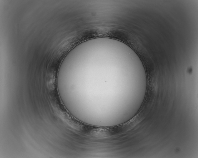 X0000115760082200911271126