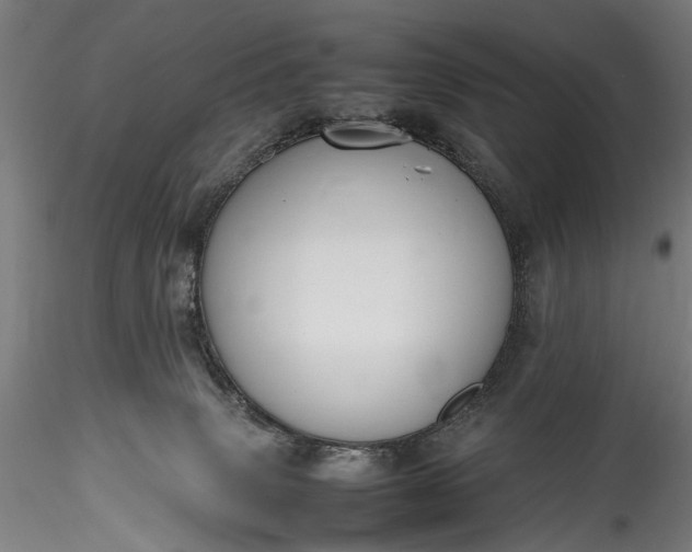 X0000115760083200911271126