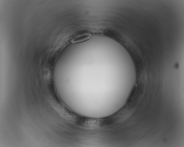 X0000115760084200911271126