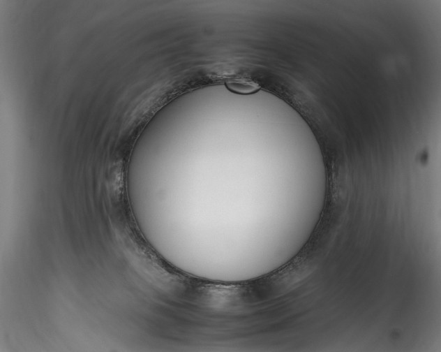 X0000115760085200911271126