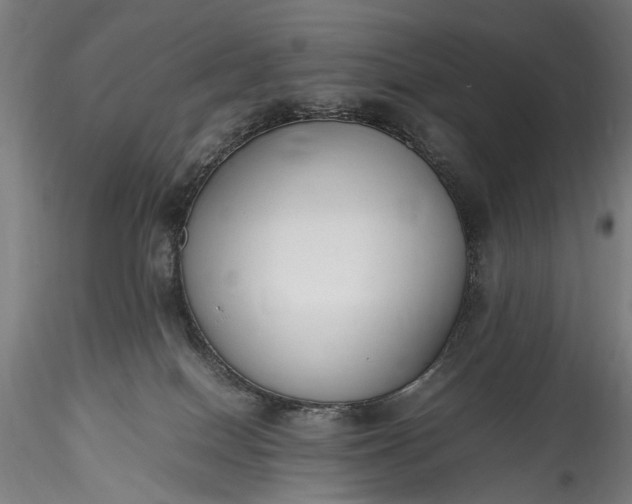 X0000115760086200911271126