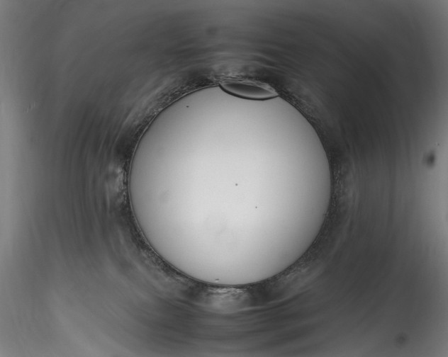 X0000115760087200911271126