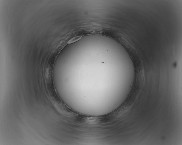 X0000115760088200911271126