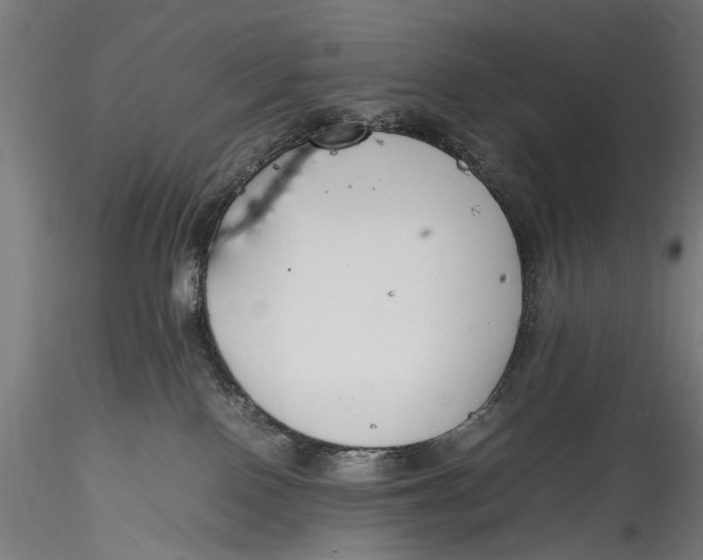 X0000115760090200911271127