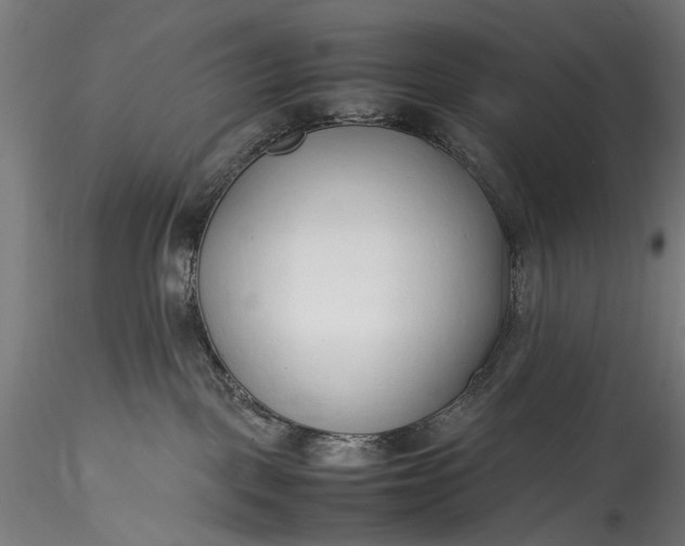 X0000115760093200911271127