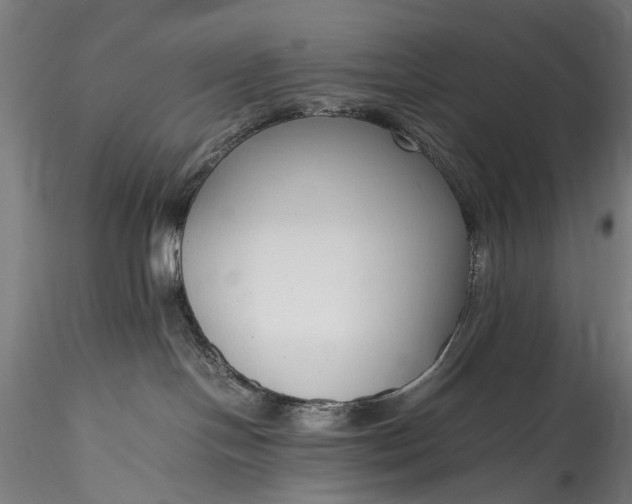 X0000115760094200911271127