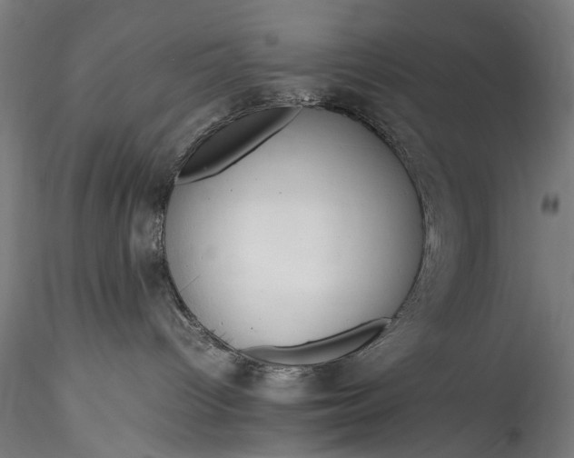 X0000115760096200911271127