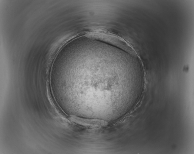 X0000115760097200911271126