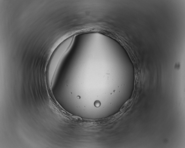 X0000115760100200911271126