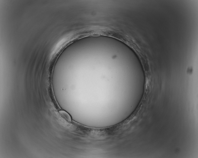 X0000115760101200911271126