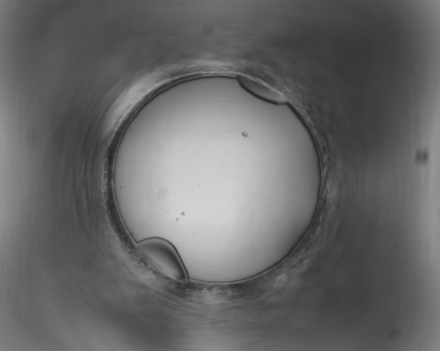 X0000115760103200911271126