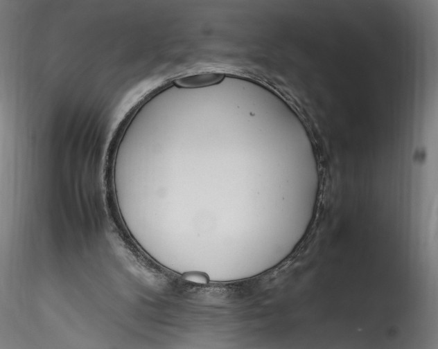 X0000115760104200911271126