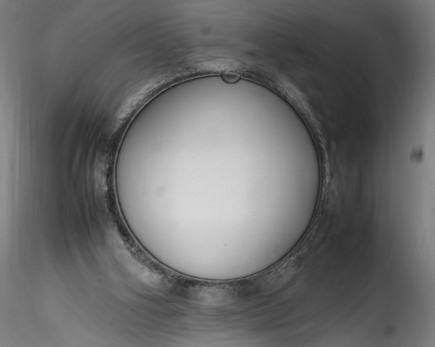 X0000115760106200911271126