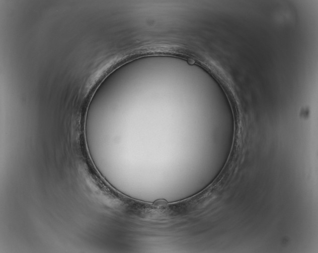 X0000115760107200911271126