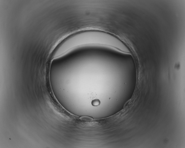 X0000115760108200911271126