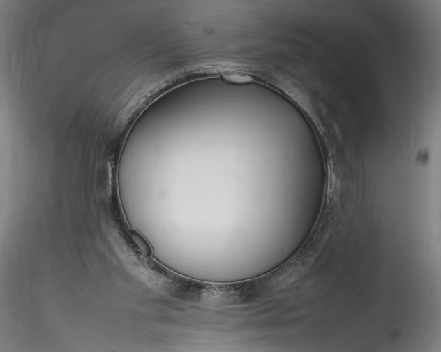 X0000115760109200911271126