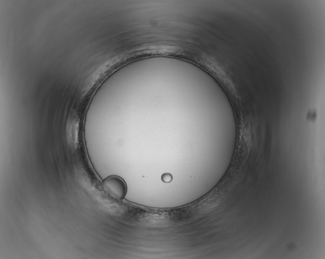 X0000115760110200911271126