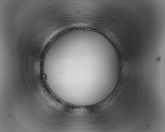 X0000115760112200911271126