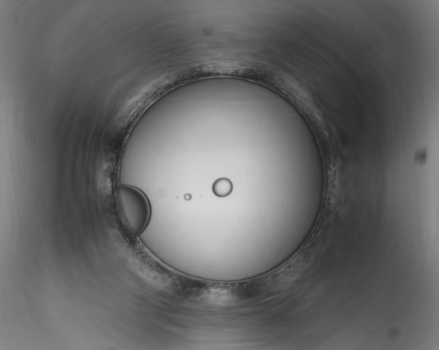 X0000115760114200911271126