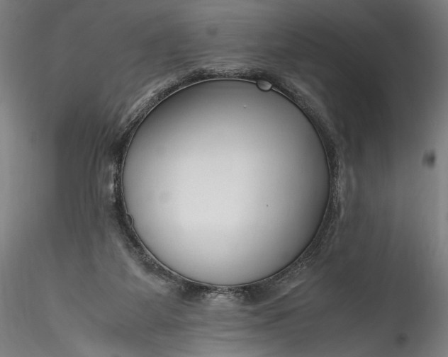 X0000115760115200911271126