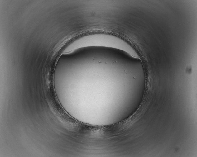 X0000115760116200911271125