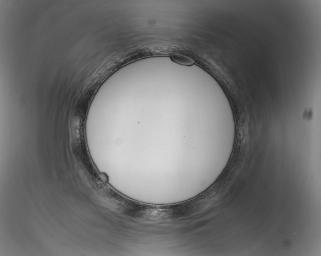 X0000115760117200911271125