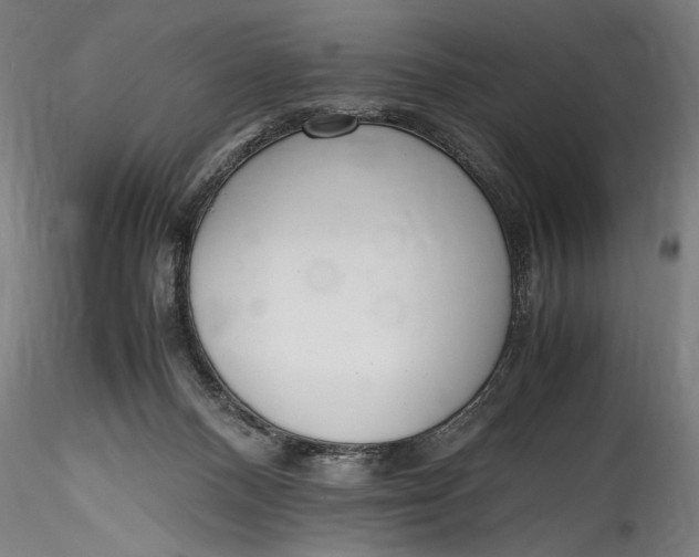 X0000115760120200911271125