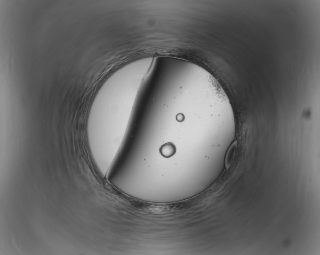 X0000115760121200911271125