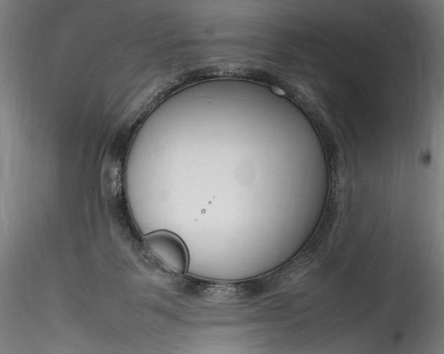 X0000115760123200911271125