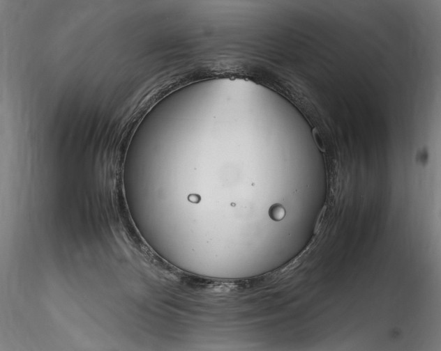 X0000115760124200911271125